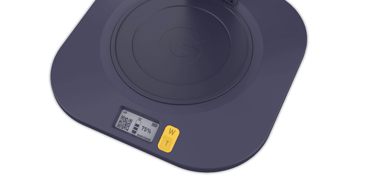 GasVisor IoT Device